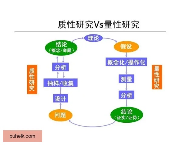 以VS标准值为核心的性能对比分析与优化评估研究方法与应用实践探索